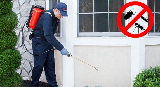 Kiğı Akrep İlaçlama böcek ilaçlama ve haşere kontrolü — ilaclama-tr.com